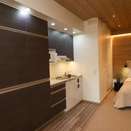 Beautiful By The Slopes Apartment